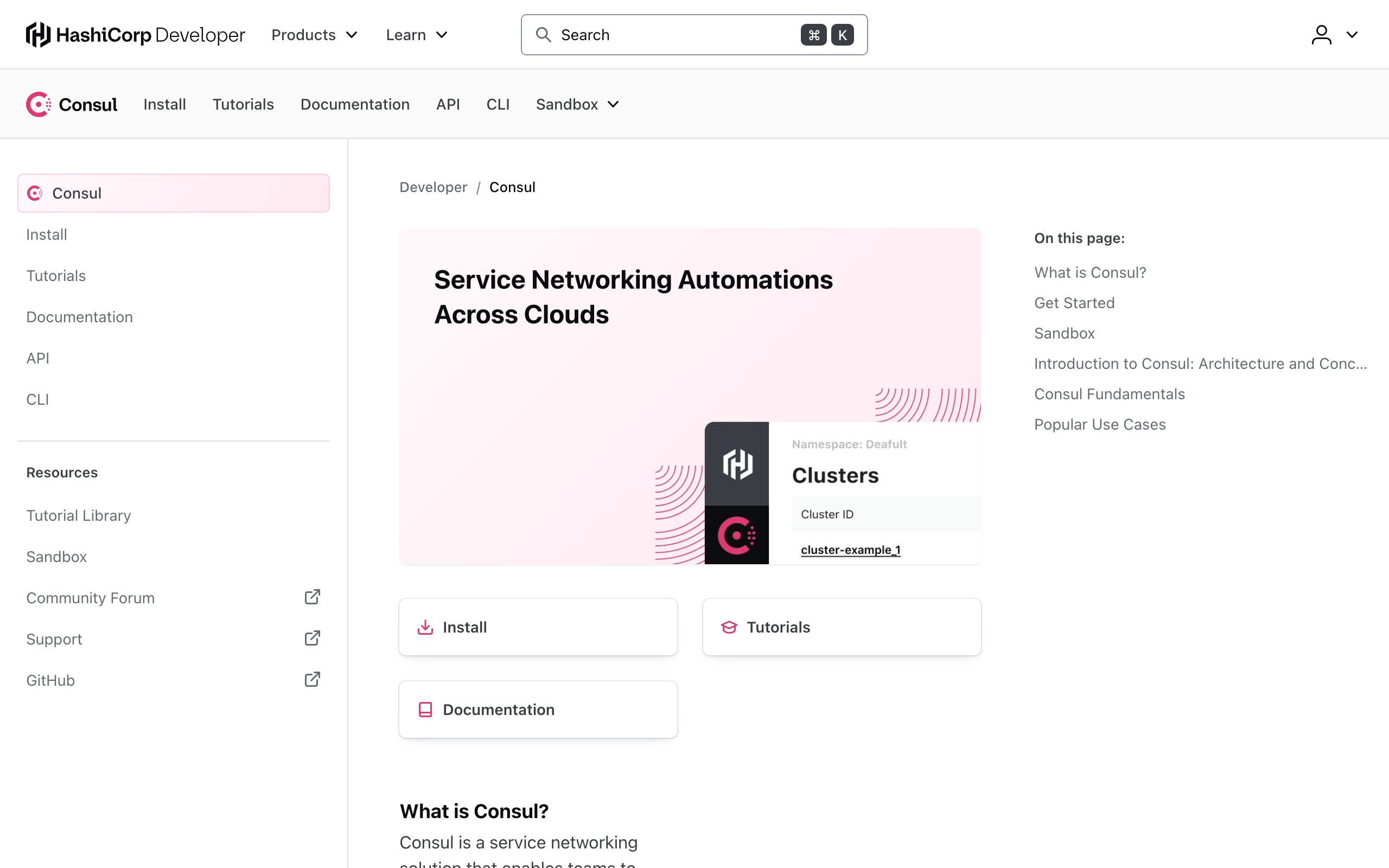 Consul screenshot