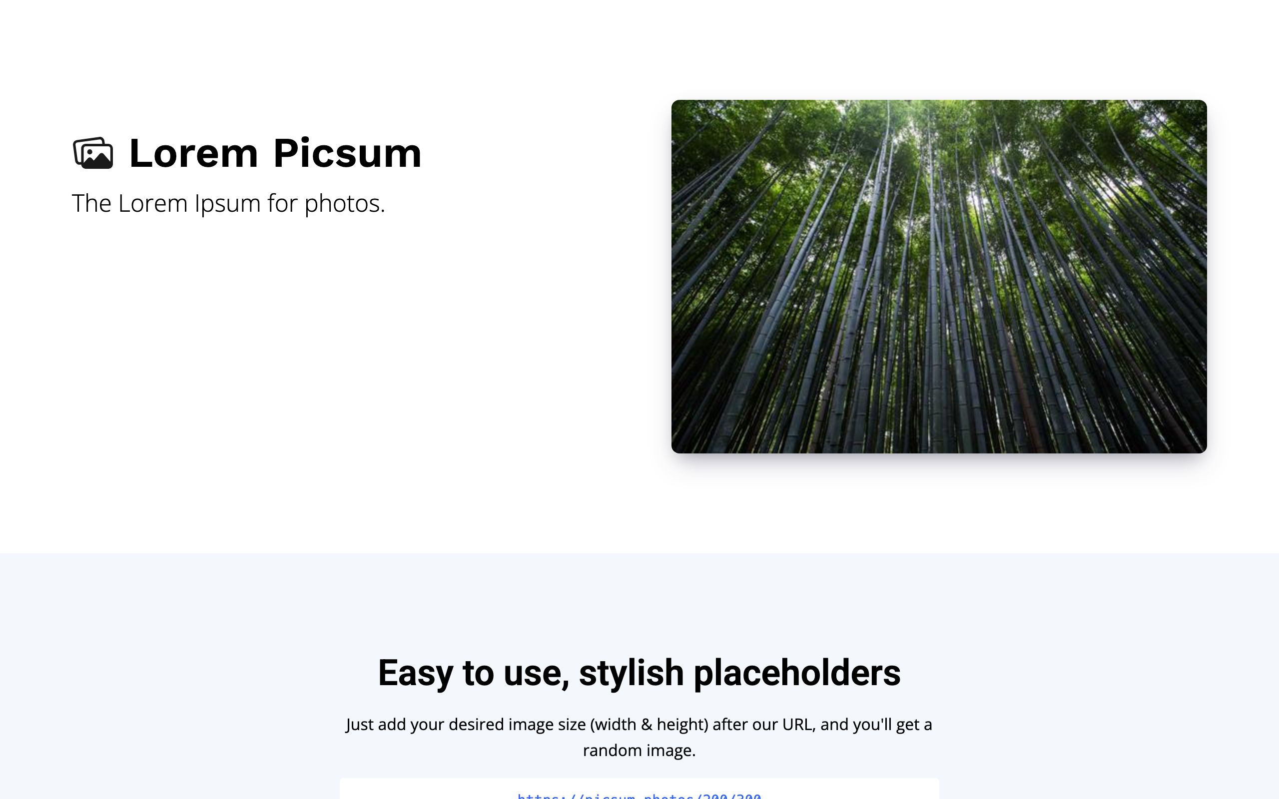 Lorem Picsum screenshot