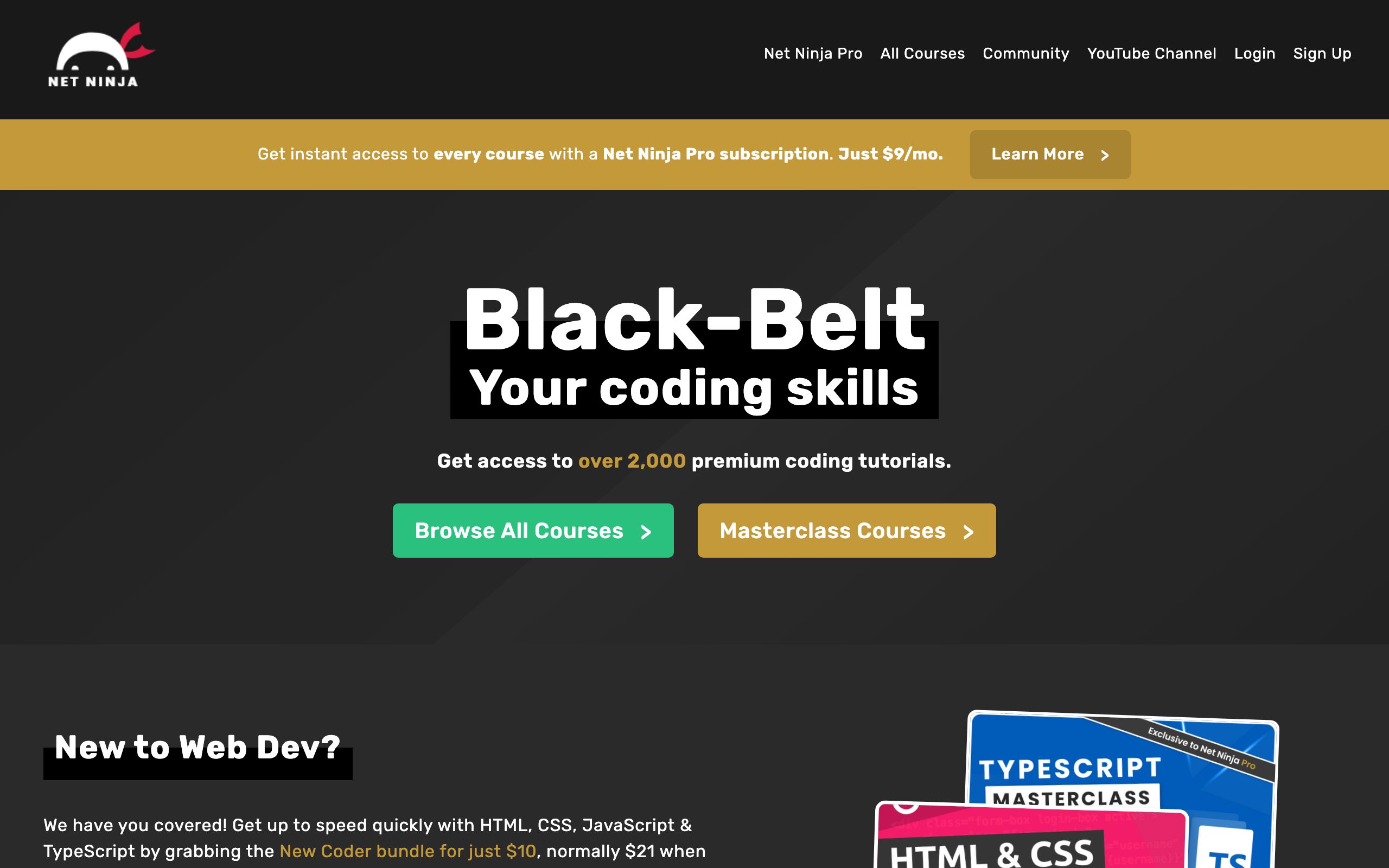 Net Ninja screenshot