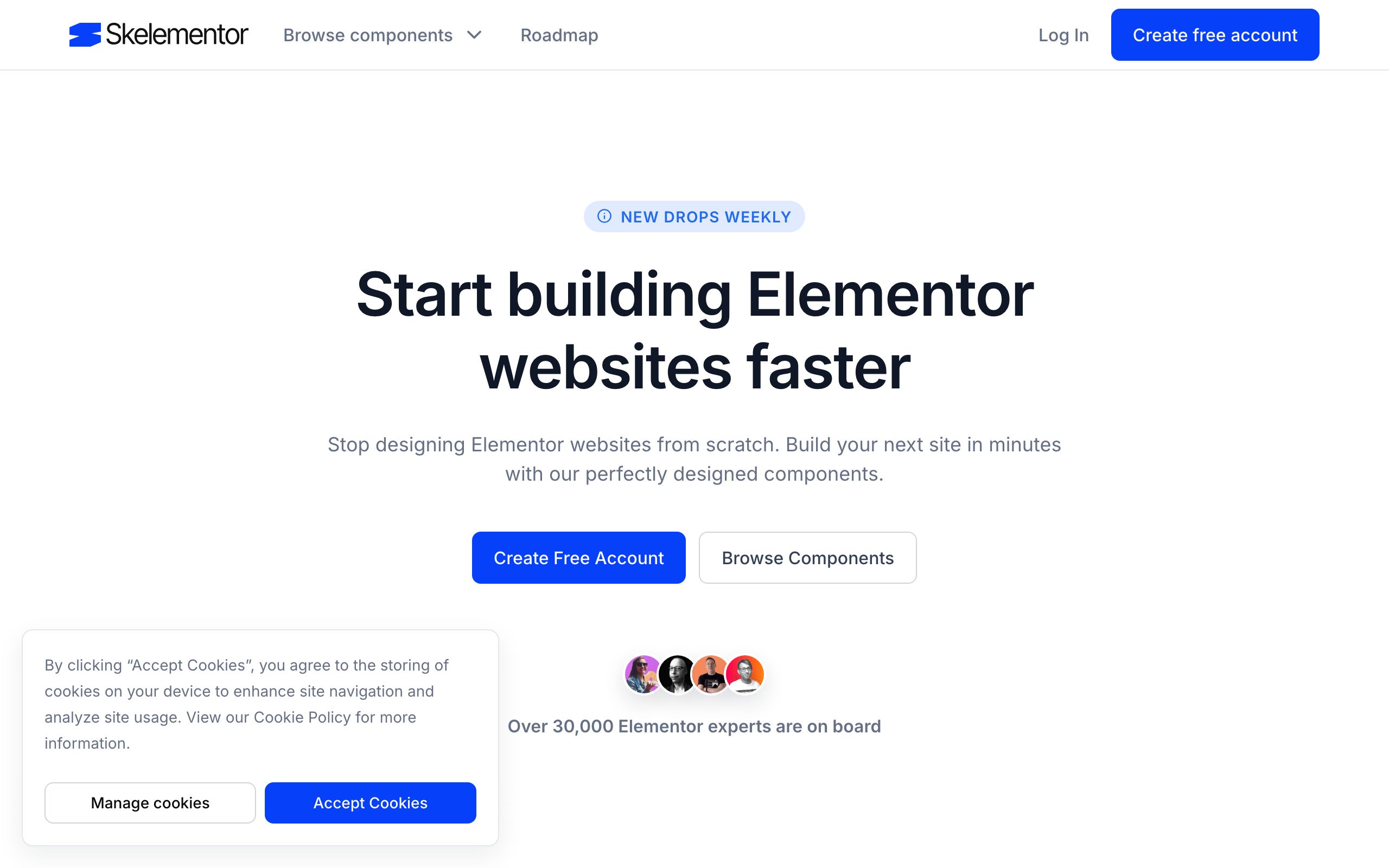 Skelementor screenshot