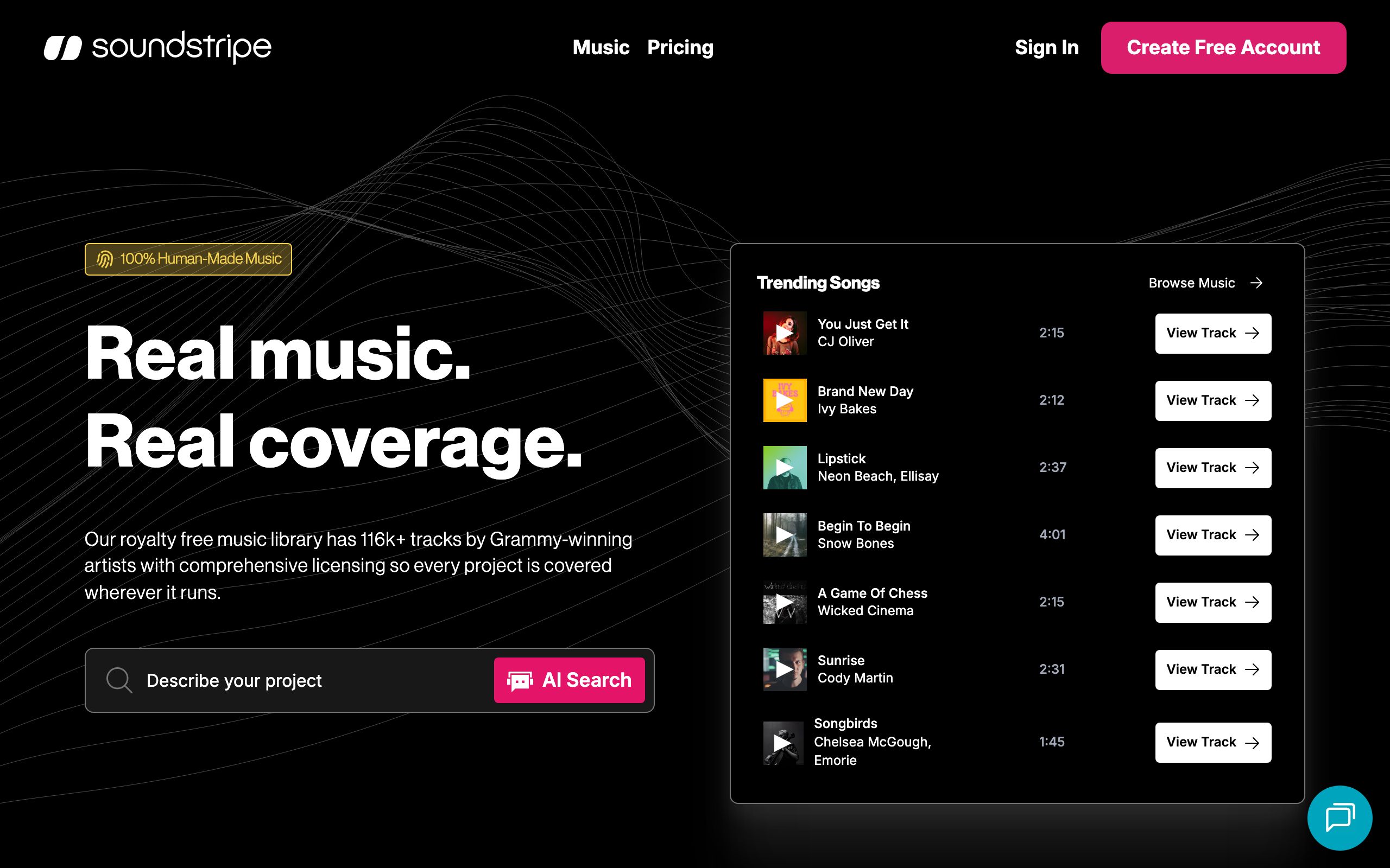 Soundstripe screenshot