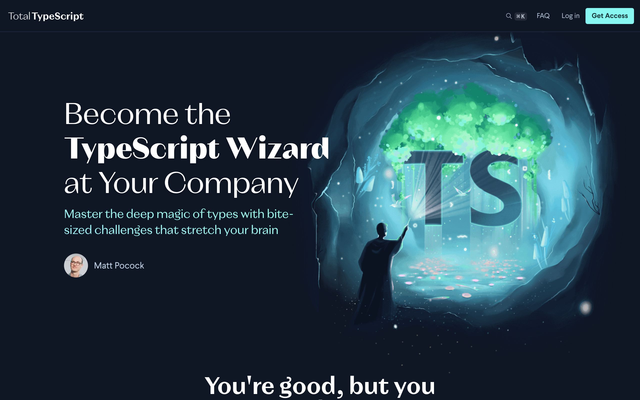 Total TypeScript screenshot