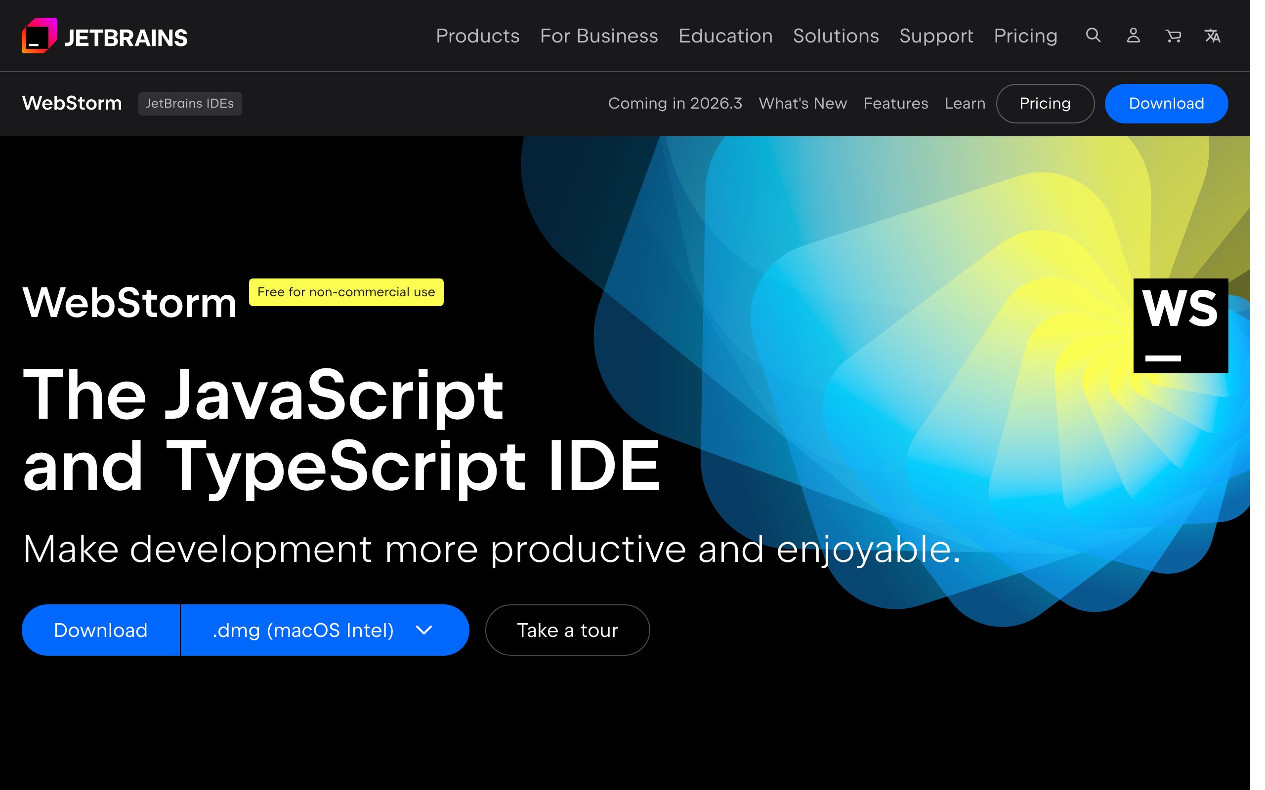 WebStorm screenshot